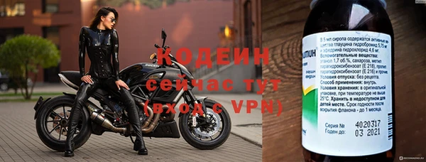 дмт Арсеньев